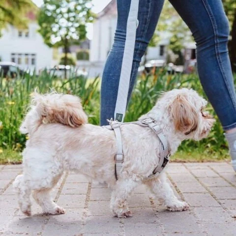 Hunter – Hundegeschirr „Divo Up“ – Beige