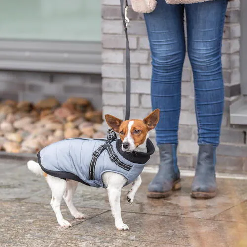 Trixie - Pontis Winterjacke mit Hundegeschirr - Grau