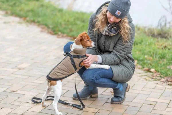 Trixie - Pirou Winterjacke mit Hundegeschirr - Sand