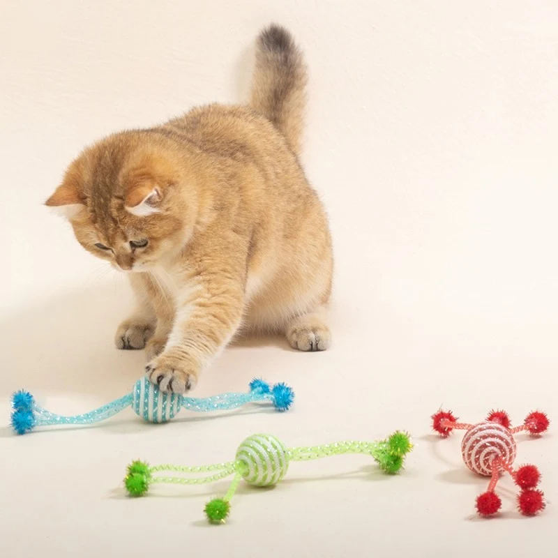 Katzenspielzeug Selbst Hallo Katzenstöcke Katzenspielzeug Interaktive Seile Ballspielzeug für Katzen Katzenspielzeug