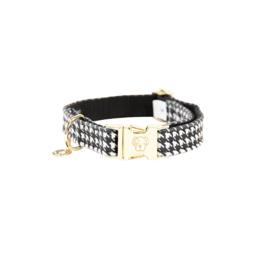 Kentucky Hundehalsband Pied-de-Poule - schwarz