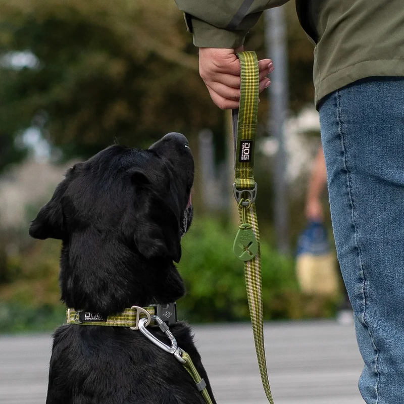 Dog Copenhagen - "Urban Style" Halsband - Braun