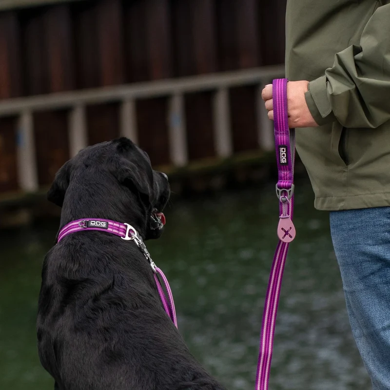 Dog Copenhagen - "Urban Style" Halsband - Lila