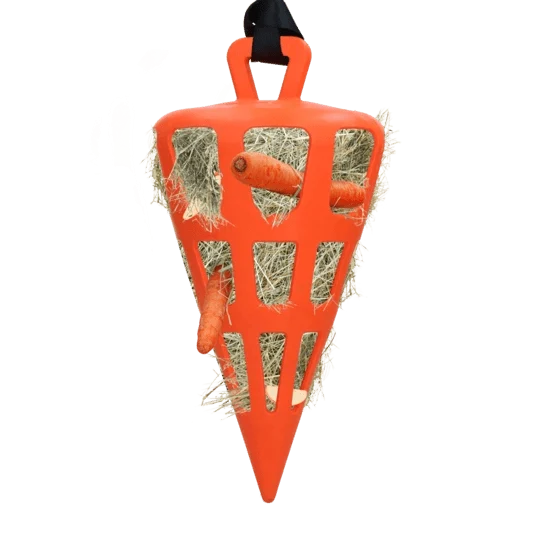 Aktivitätsspielzeug - Orange Karotte
