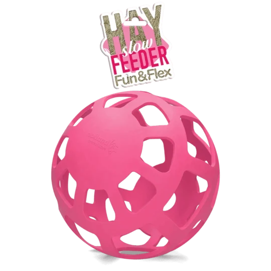Aktivitätsspielzeug - Pink Ball