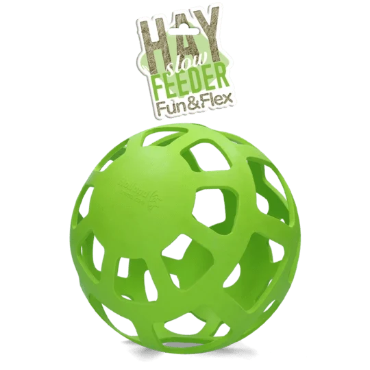 Aktivitätsspielzeug - Grüner Ball