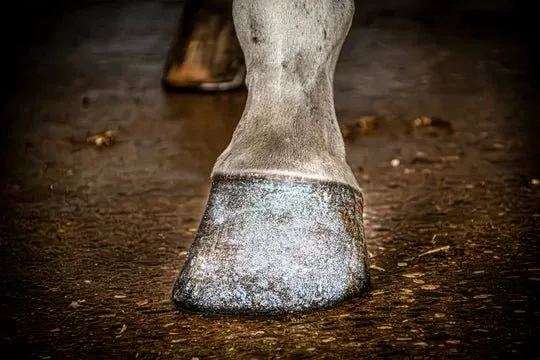 Hochglanz – Glitter Hoovlak – Silber