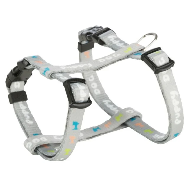 Trixie Junior Welpengeschirr mit Leine - Mint - 2 Meter