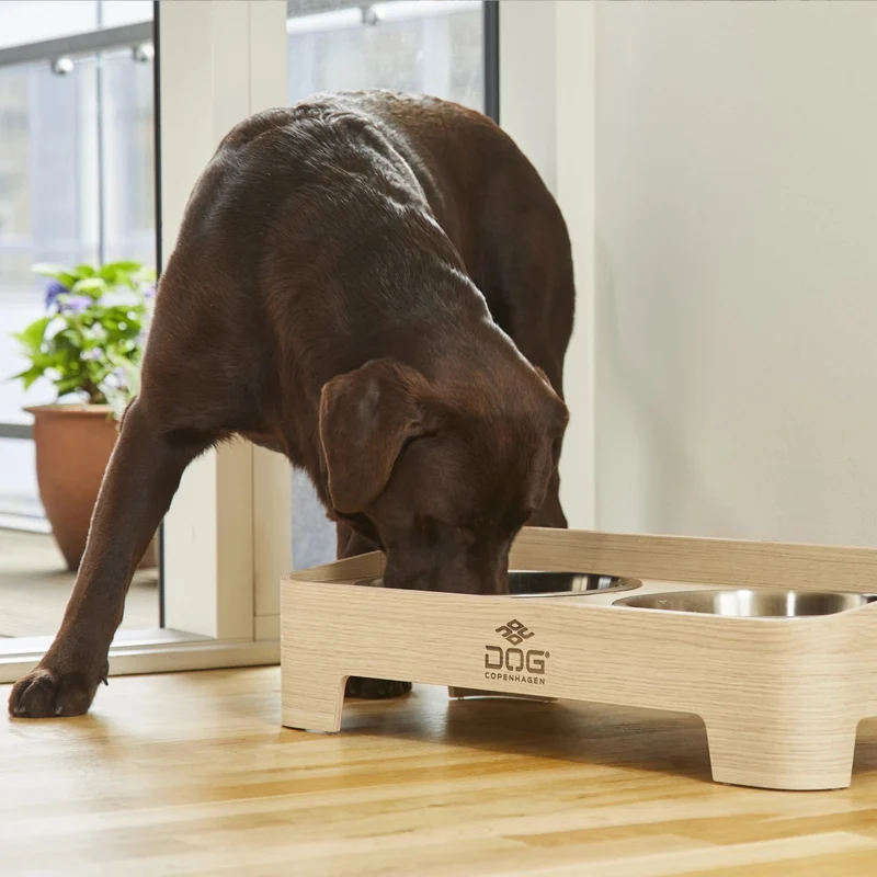 Hundehalsband Copenhagen – „Urban Style“ – Lila