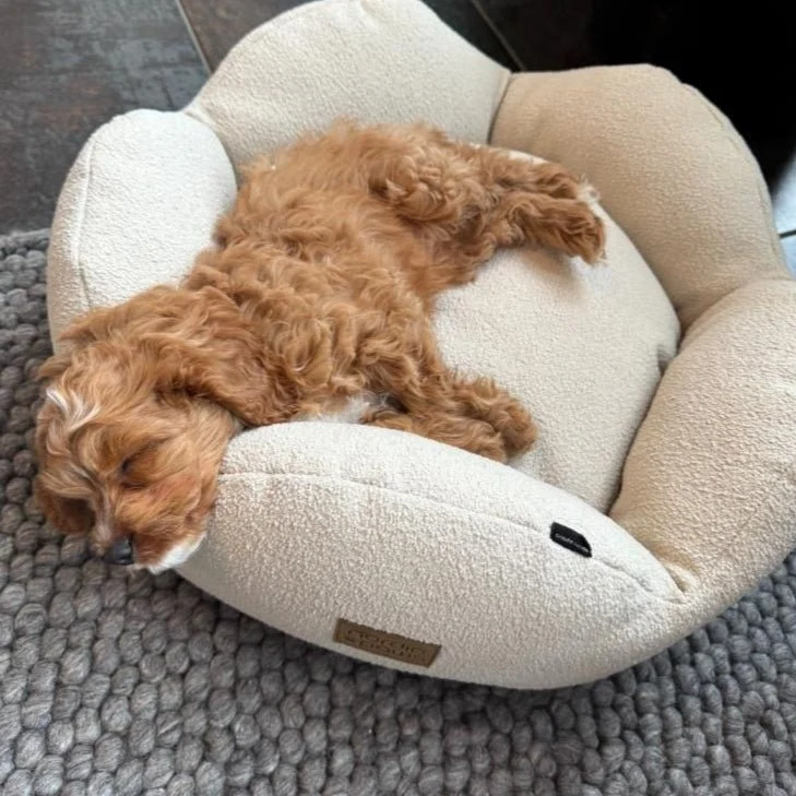 Nordic Paws - Flora Hundebett - Beige