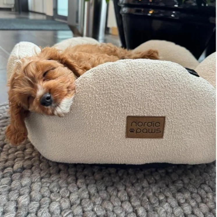 Nordic Paws - Flora Hundebett - Beige
