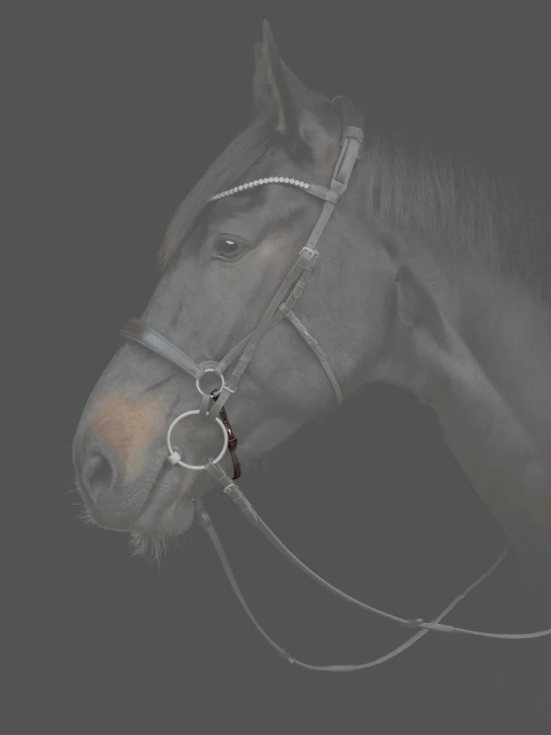 CATAGO - Gentle Bridle Nasenband - Schwarz