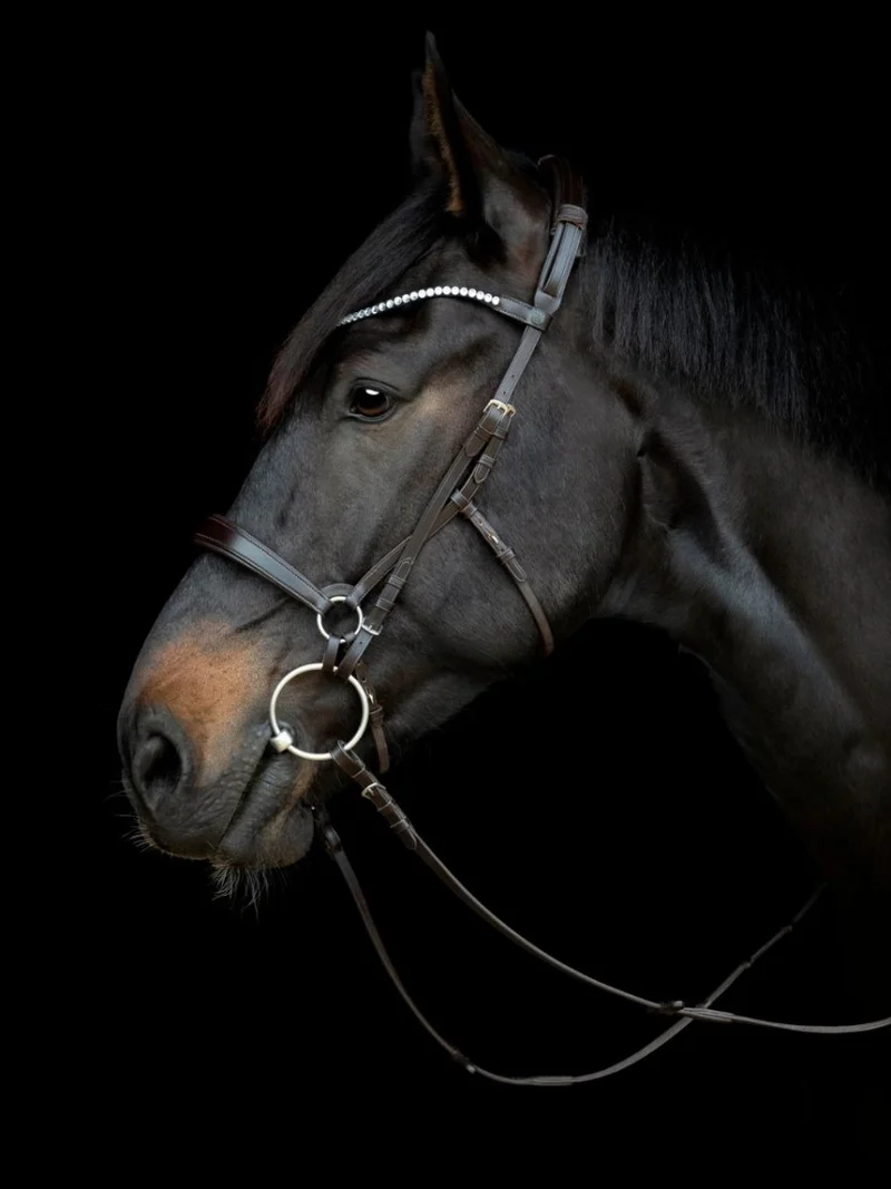 CATAGO - Gentle Bridle Nasenband - Schwarz