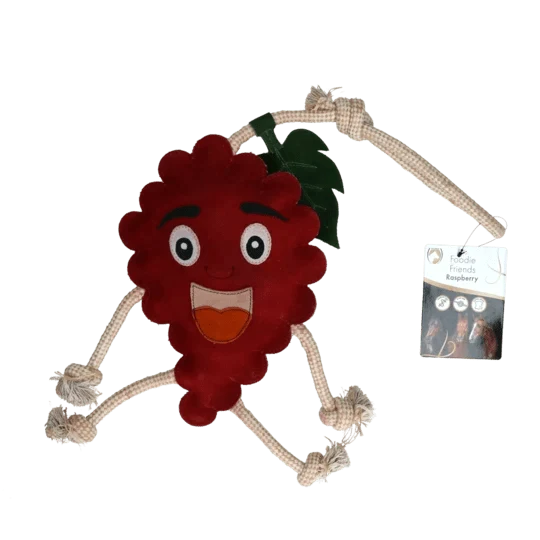 Aktivitätsspielzeug - Himbeer-Teddybär