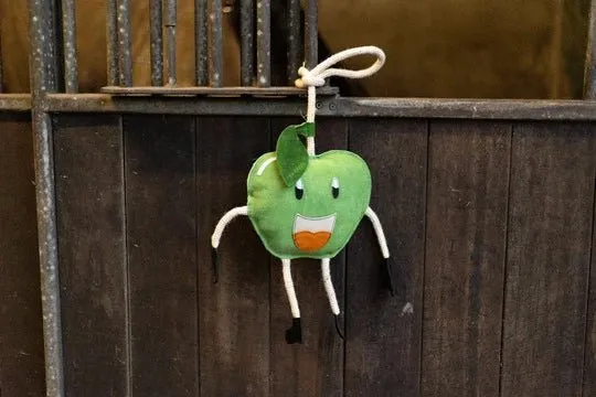 Aktivitätsspielzeug – Apfel-Teddybär