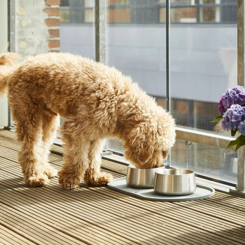 Hundehalsband Copenhagen – „Urban Style“ – Lila