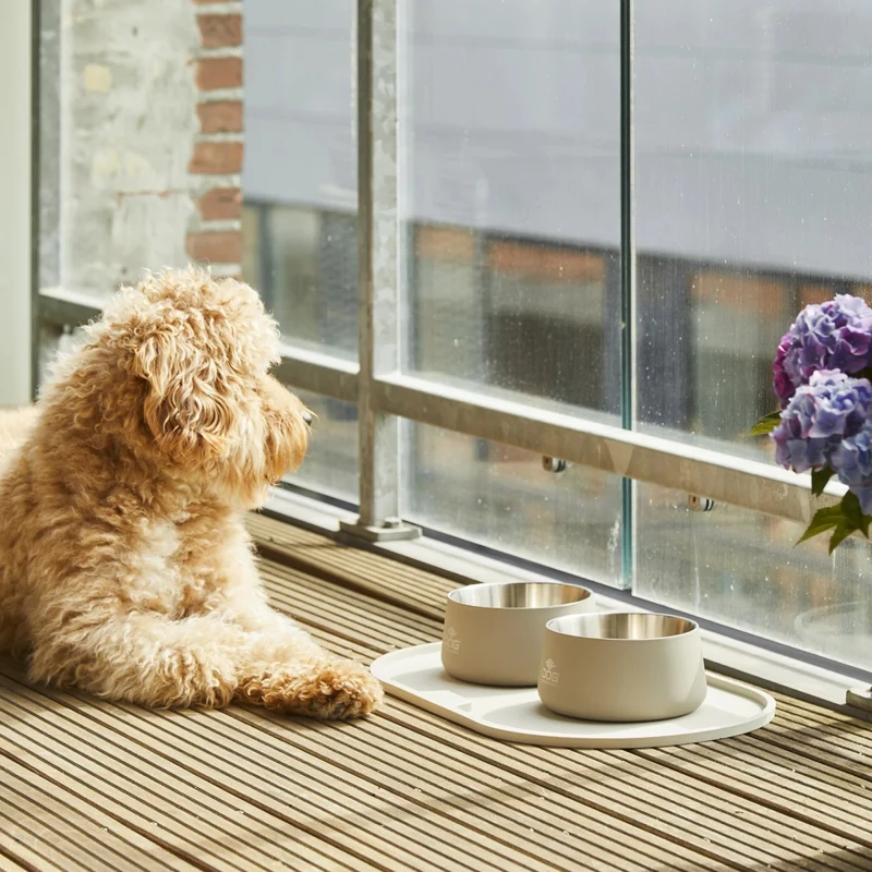 Hundehalsband Copenhagen – „Urban Style“ – Lila