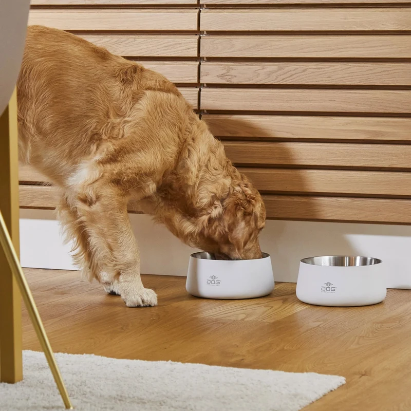 Hundehalsband Copenhagen – „Urban Style“ – Lila
