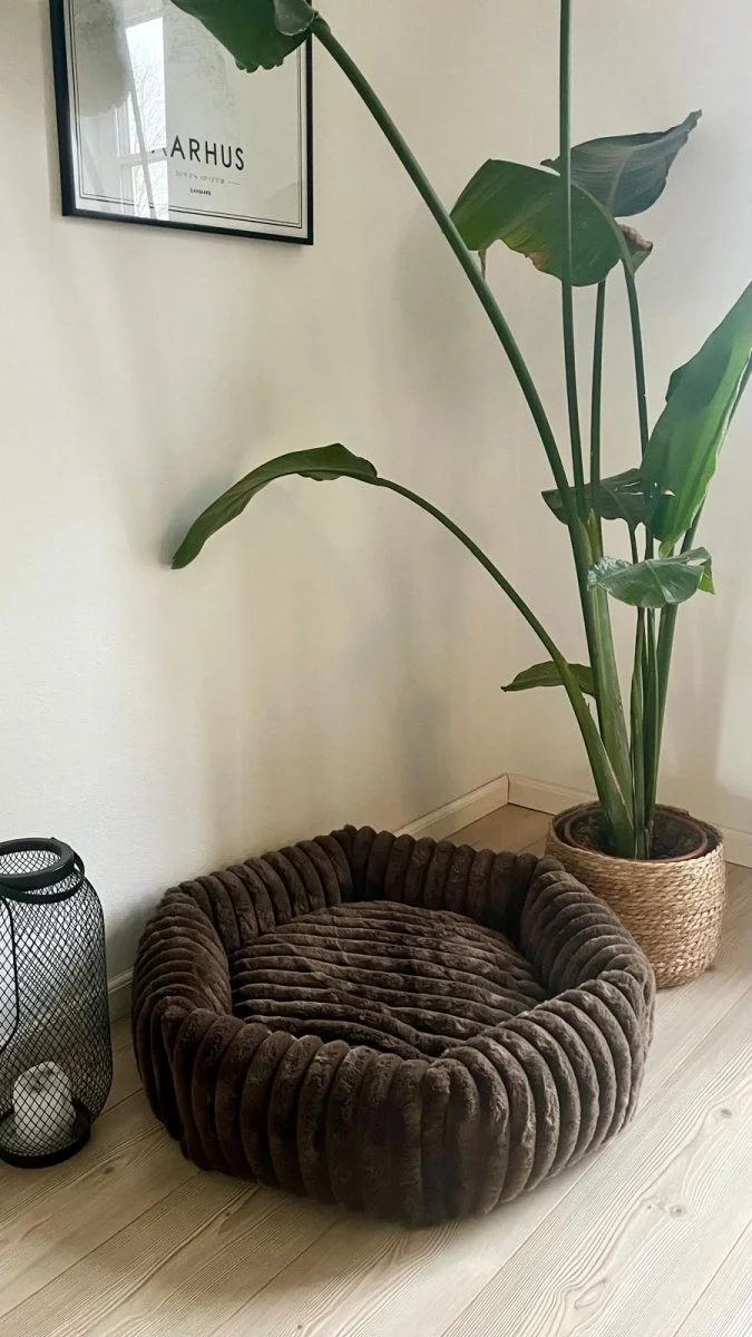 Barkly Blumenbeet – Warmes Beige