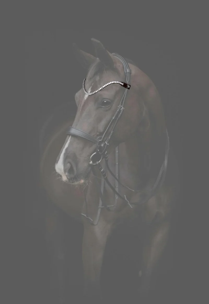 CATAGO - Gentle Bridle Stirnband - Braun