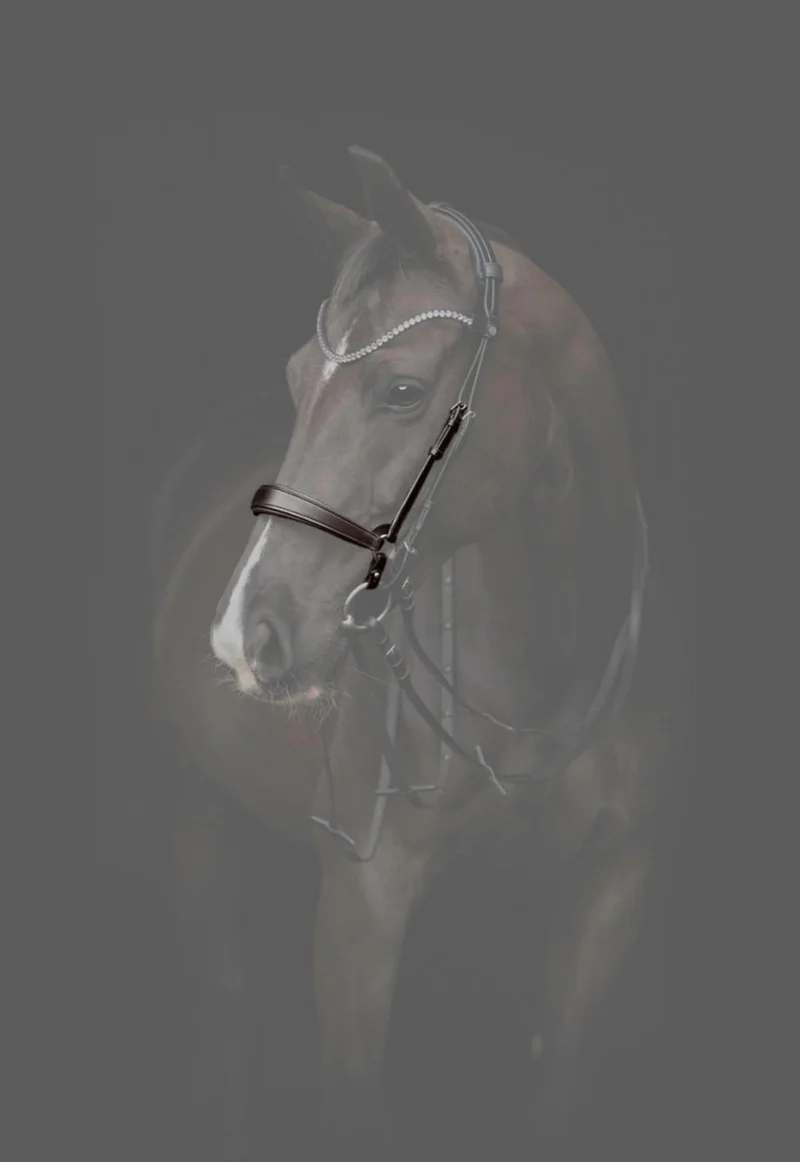 CATAGO - Gentle Bridle Nasenband m. Kollektion Ringe - Braun