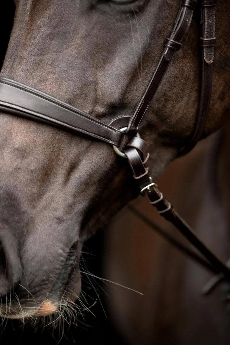 CATAGO - Gentle Bridle Nasenband m. Kollektion Ringe - Braun