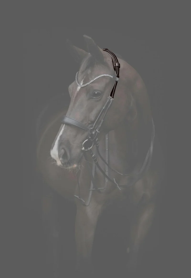 CATAGO - Gentle Bridle Neckpiece mit. Füllen - Braun