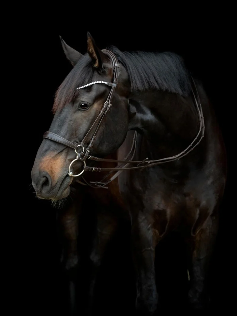 CATAGO - Gentle Bridle Neckpiece mit. Füllen - Braun