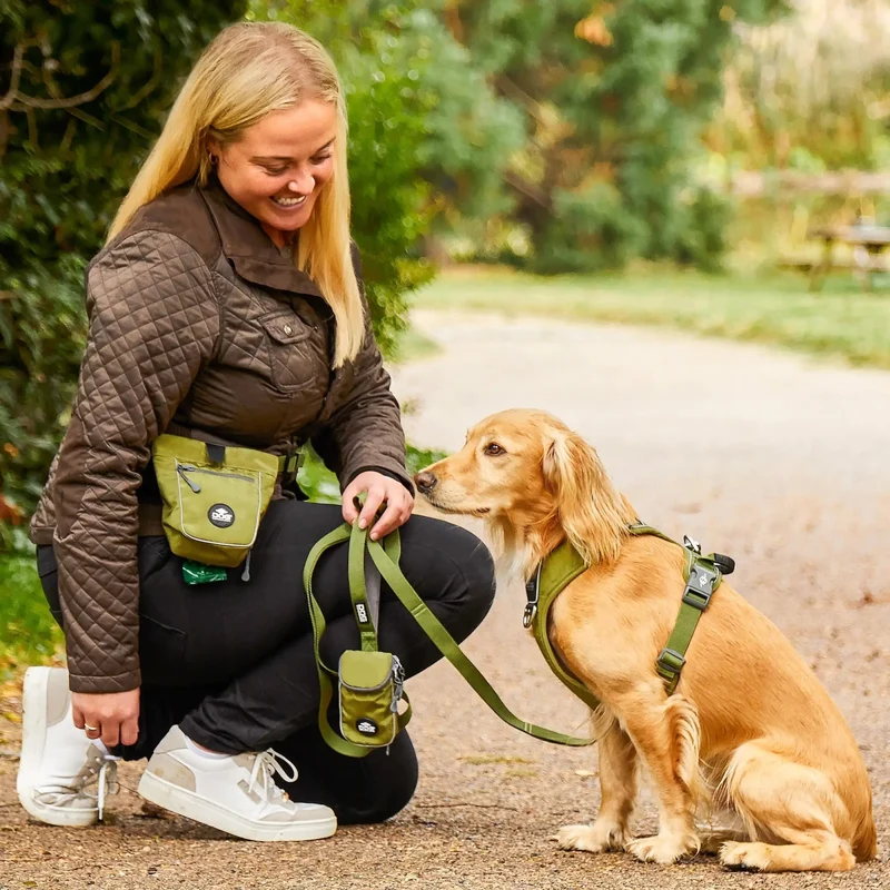 Dog Copenhagen Line – „Urban Trail“ – Schwarz