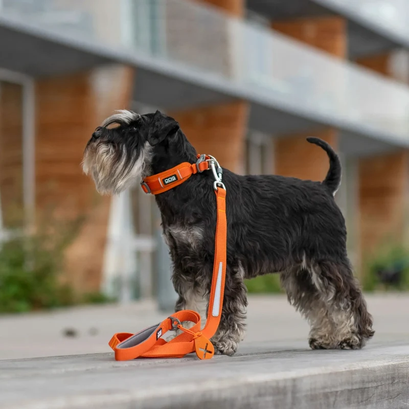 Dog Copenhagen - "Urban Trail" Linie - Orange