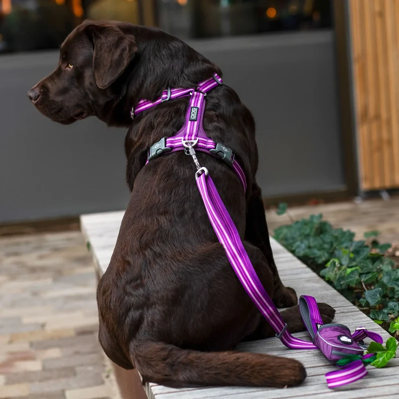 Dog Copenhagen - "Comfort Walk Air™" Geschirr - Schwarz