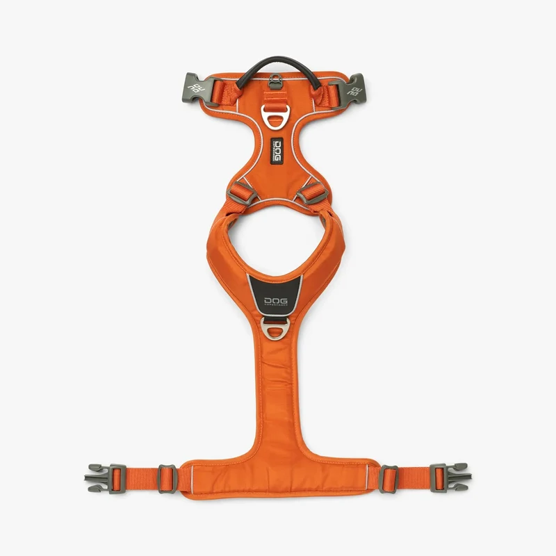Dog Copenhagen - "Comfort Walk Pro™" Geschirr - Orange