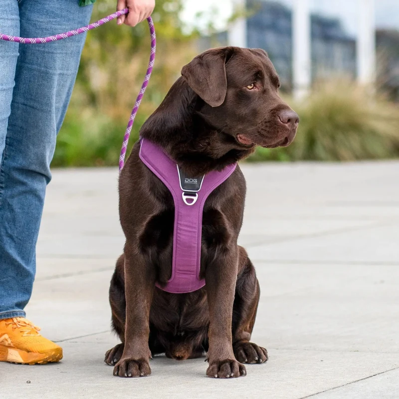 Dog Copenhagen - "Comfort Walk Pro™" Geschirr - Blau