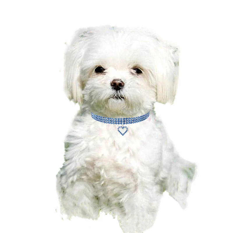 Elastische Liebe Katze und Hund Ornamente