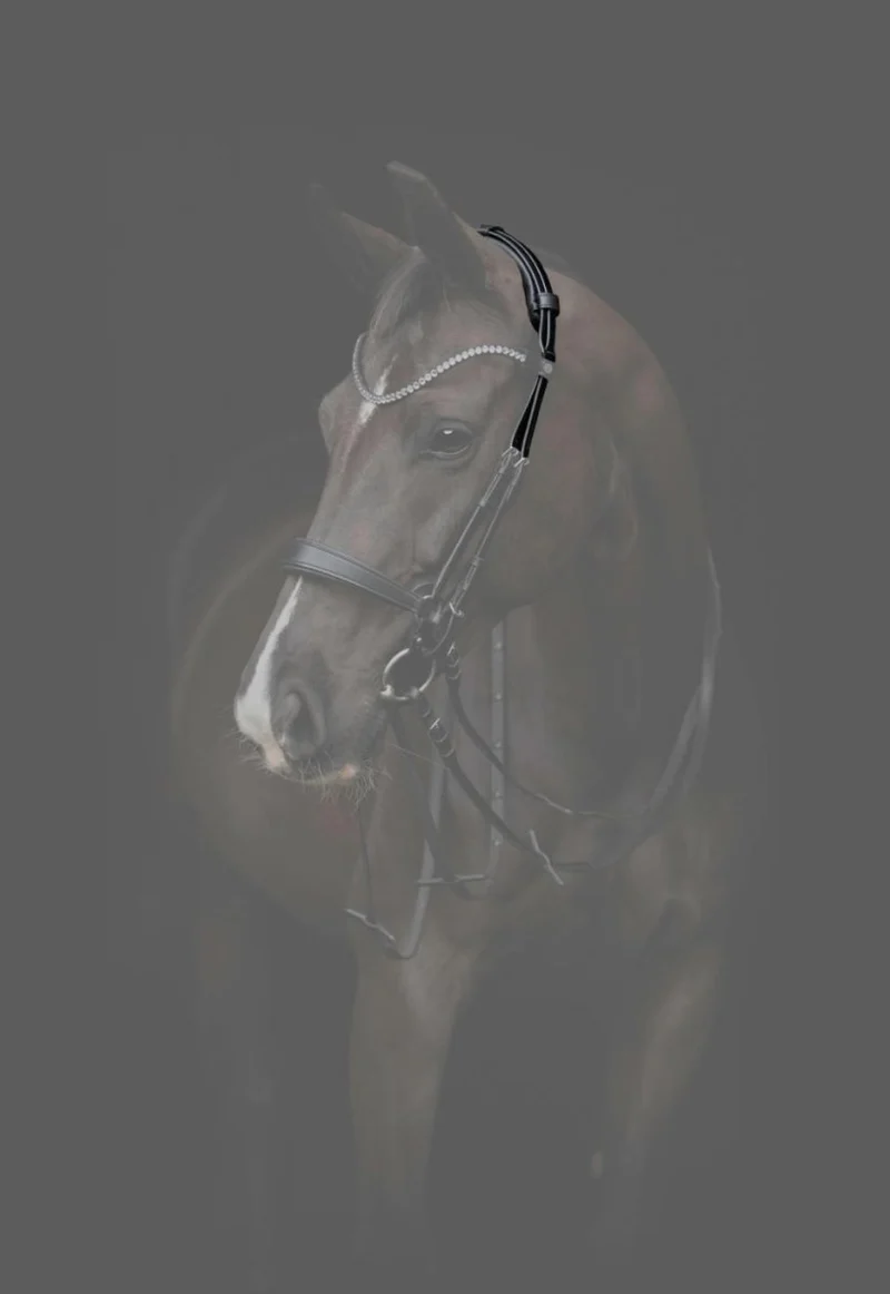 CATAGO - Gentle Bridle Neckpiece mit. Füllen - Schwarz
