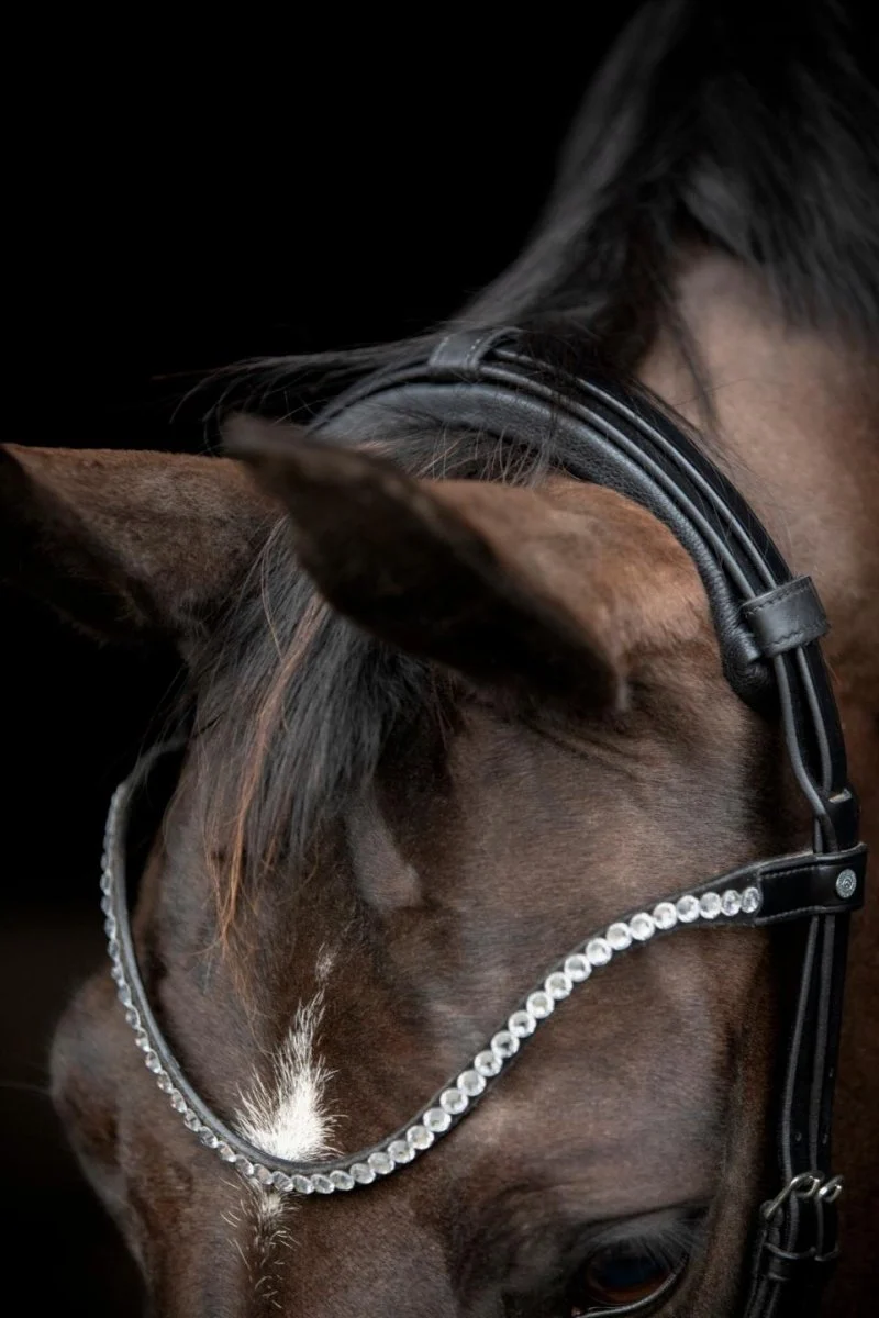CATAGO - Gentle Bridle Neckpiece mit. Füllen - Schwarz