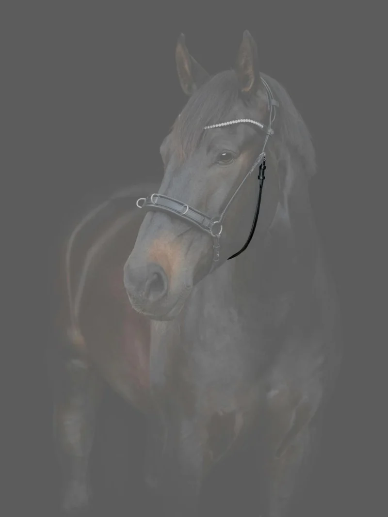 CATAGO - Gentle Bridle Jaw Strap m. Schnallen - Schwarz