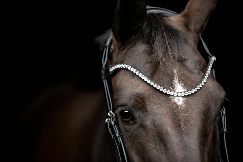 CATAGO - Gentle Bridle Stirnband - Schwarz