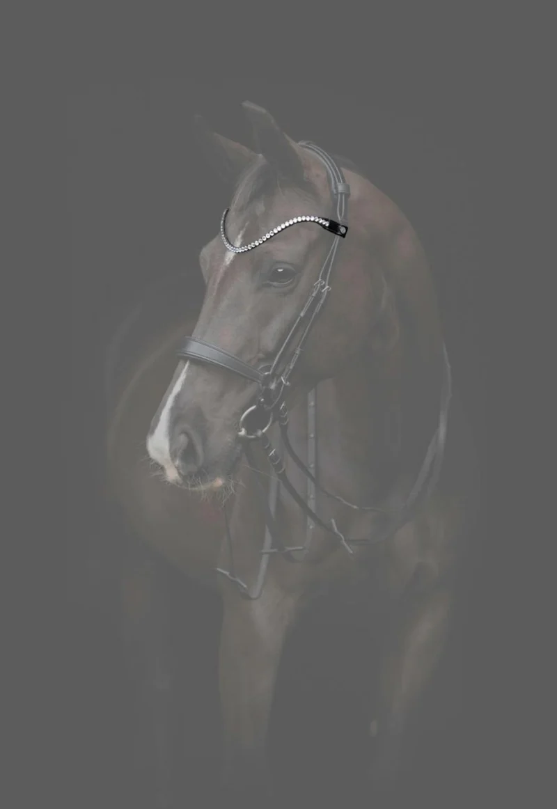 CATAGO - Gentle Bridle Stirnband - Schwarz