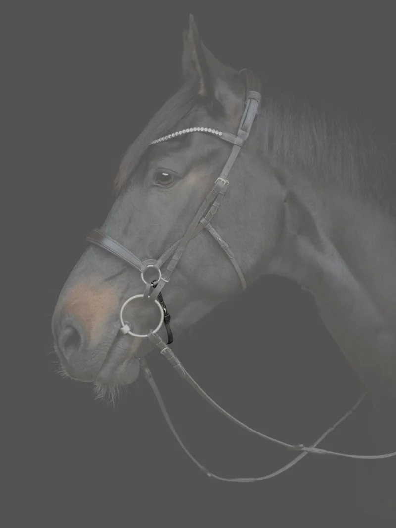 CATAGO - Gentle Bridle Nasenband - Schwarz