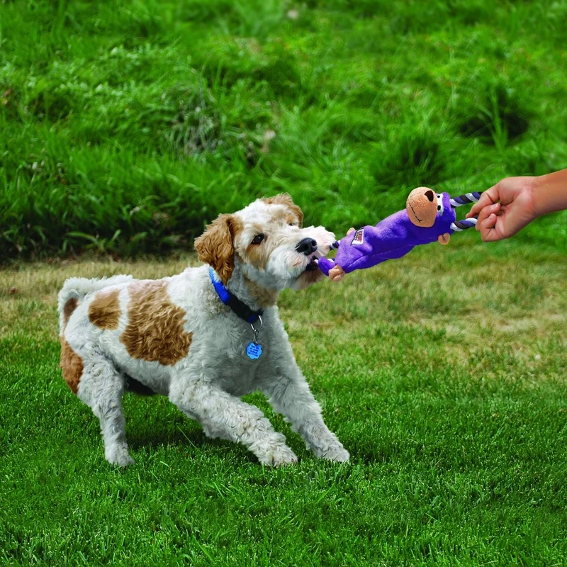 KONG – Frosch-Ziehspielzeug mit Seil – 39 cm