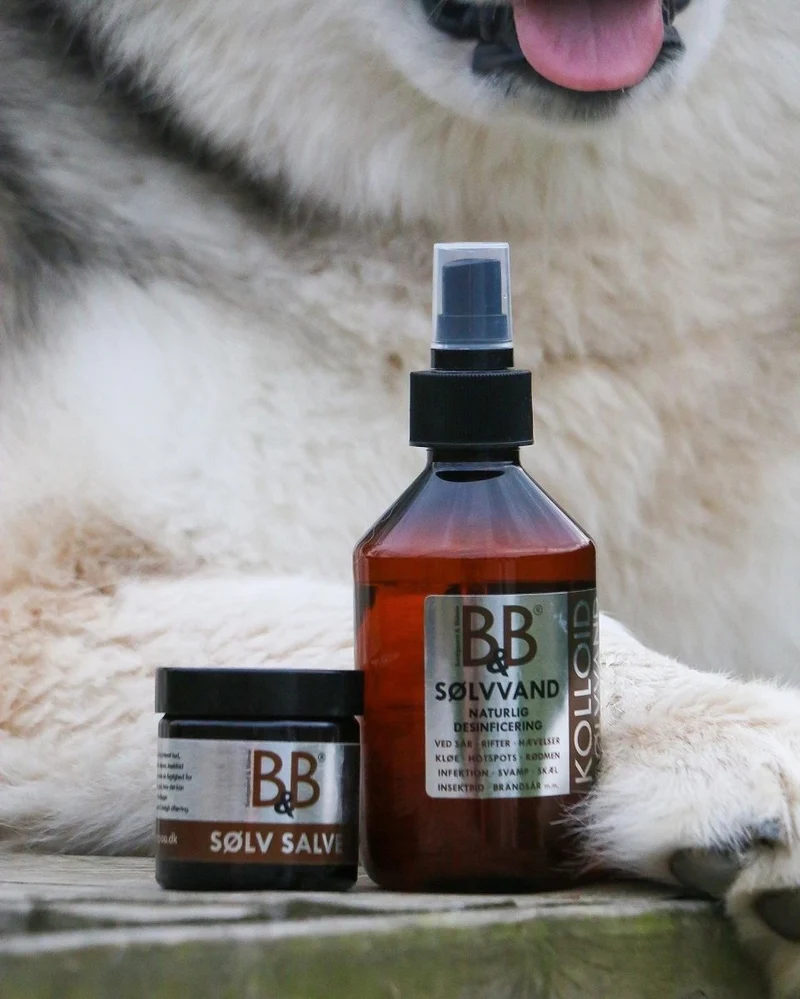 B&B - Silberwasser - 250 ml