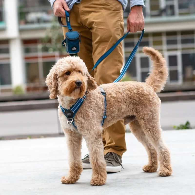 Dog Copenhagen - "Comfort Walk Air™" Geschirr - Blau