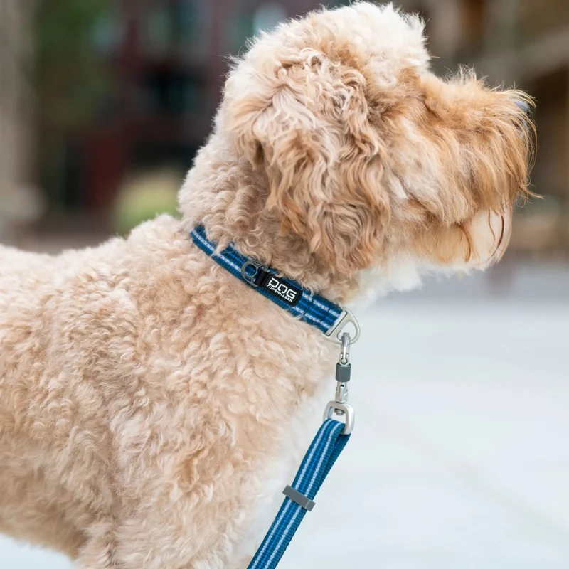 Dog Copenhagen - "Urban Style" Halsband - Schwarz