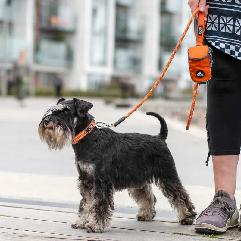 Dog Copenhagen - "Urban Style" Halsband - Rot