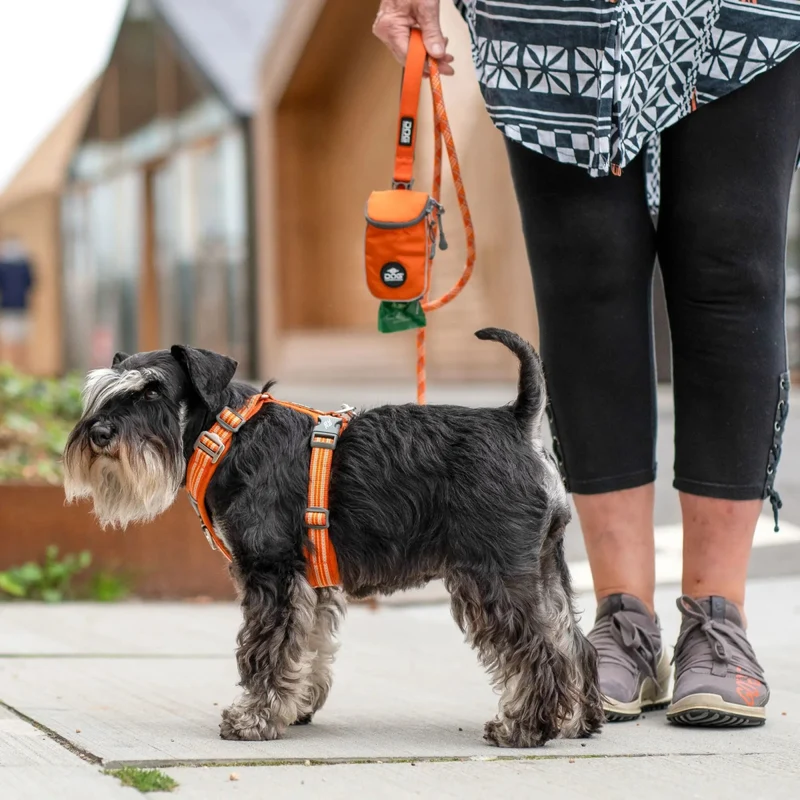 Dog Copenhagen - "Comfort Walk Air™" Geschirr - Orange