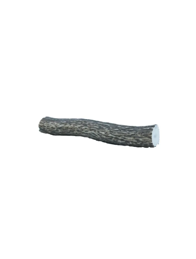 Hirschgeweihe – Geweihe – mittelgroß, 75–100 g