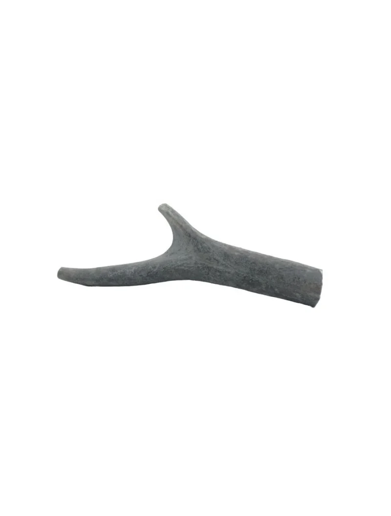 Hirschgeweihe – Geweihe – klein, 50–75 g
