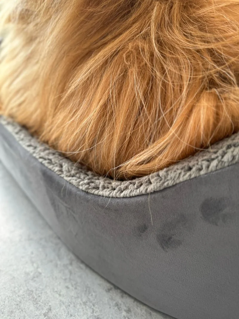 Barkly Valde Hundebett – Grau