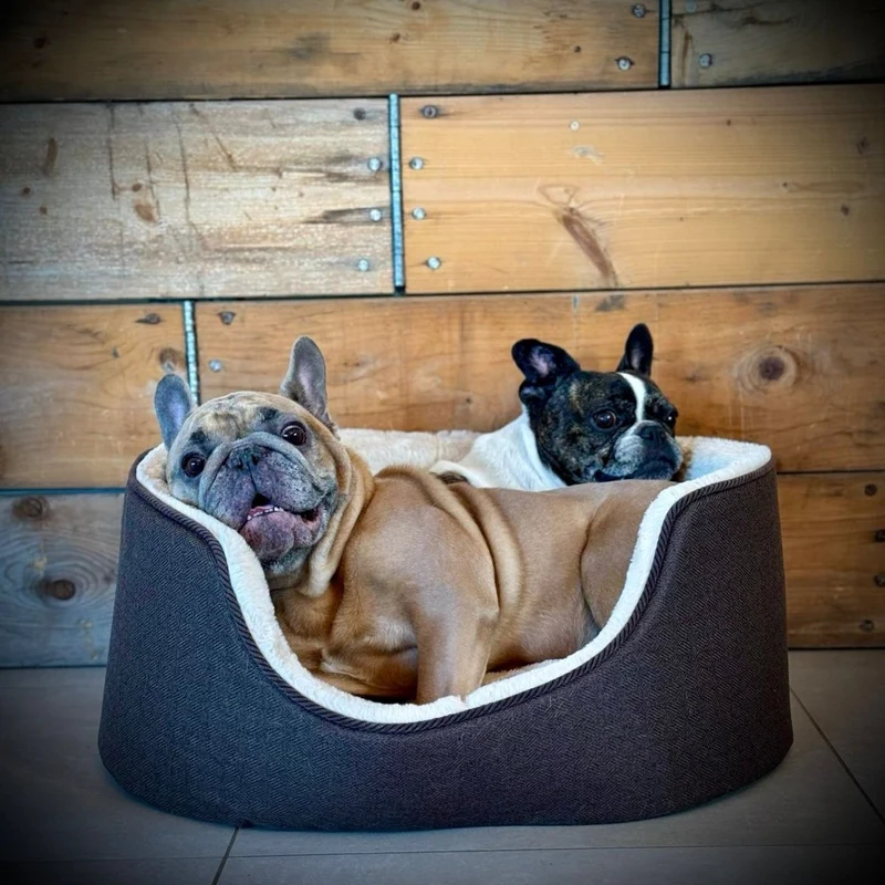 Barkly Nero Hundebett – Dunkelbraun